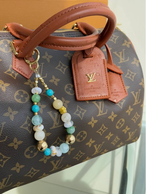 Louis Vuitton Premium 