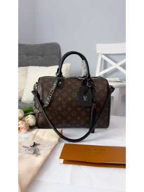 Louis Vuitton Premium 