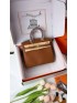 Hermes Birkin 25cm Togo