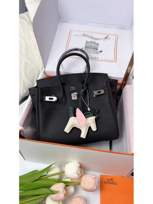 Hermes Birkin 25cm Togo Hermes Birkin 25cm Togo