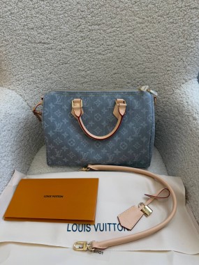 Louis Vuitton Premium 31/21 Louis Vuitton Premium 31/21