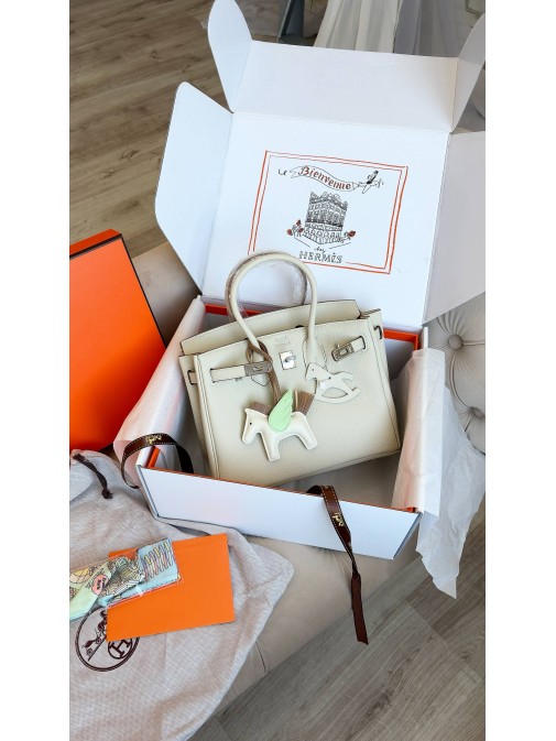 Hermes Birkin 25 Togo