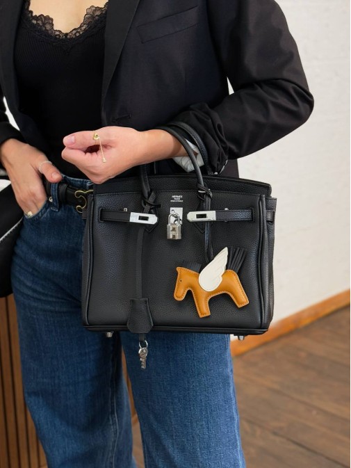 Hermes Birkin Premium