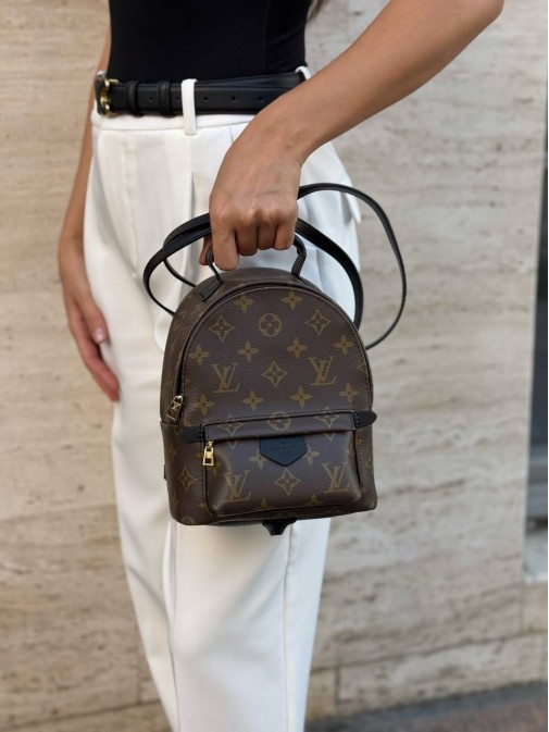 Рюкзак Louis Vuitton Premium 