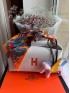 Hermes Premium  
