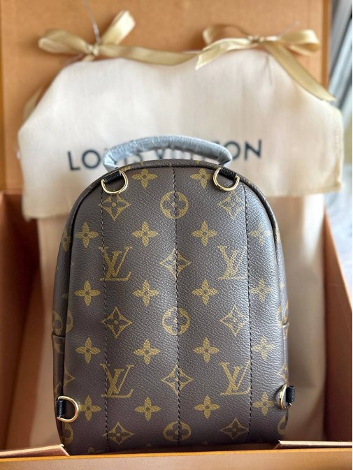 Рюкзак Louis Vuitton Premium 