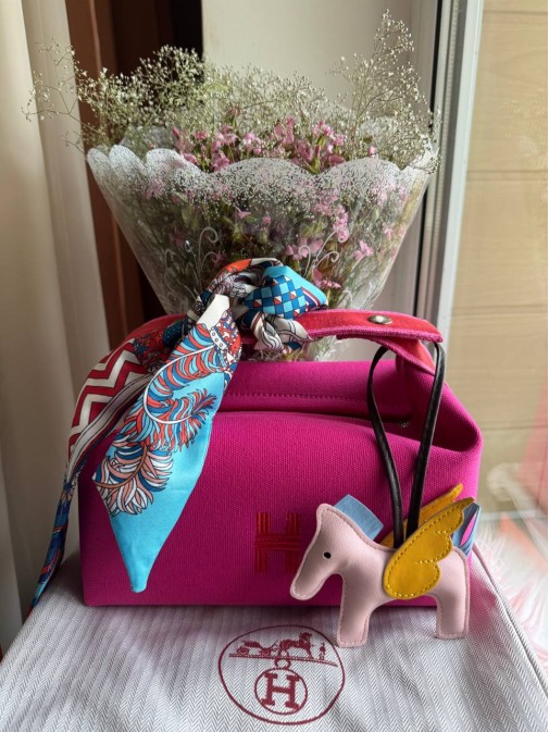 Hermes Premium 