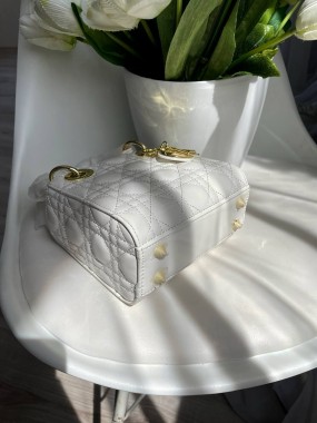Dior Premium  