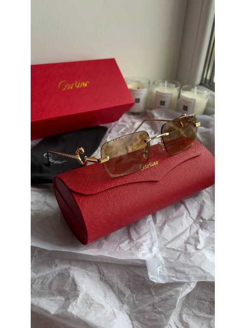 Окуляри Cartier 