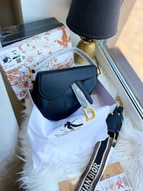   Dior saddle Premium