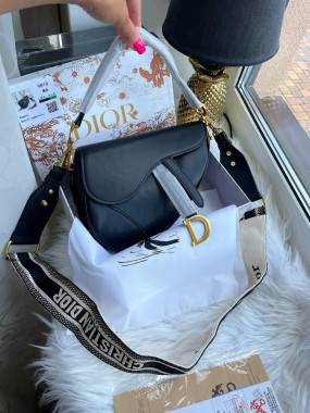   Dior saddle Premium