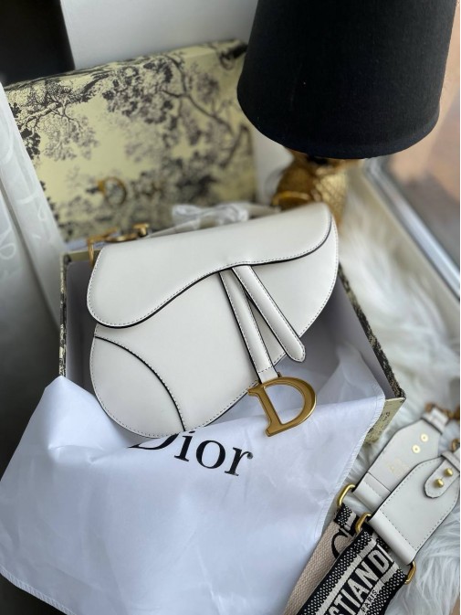 Dior saddle Premium