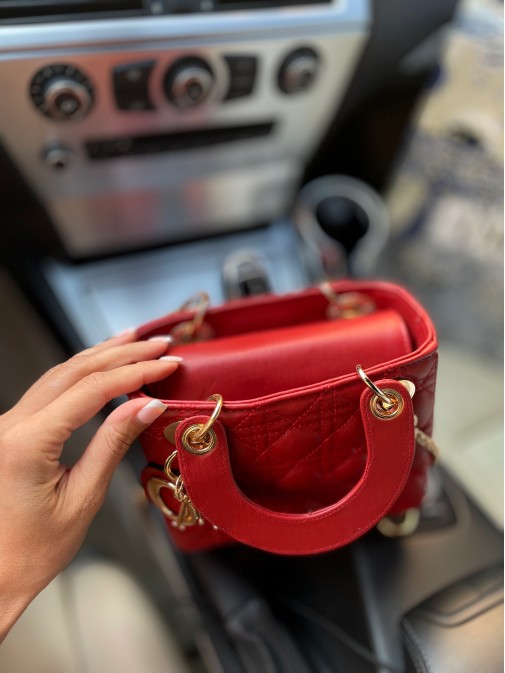 Dior lady 