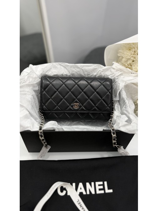 Chanel Classic Wallet on Chain Silver  ( гладка шкіра)