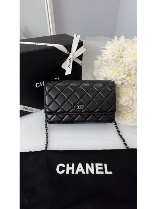 Chanel Classic Wallet on Chain Silver  ( гладка шкіра)