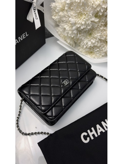 Chanel Classic Wallet on Chain Silver  ( гладка шкіра)